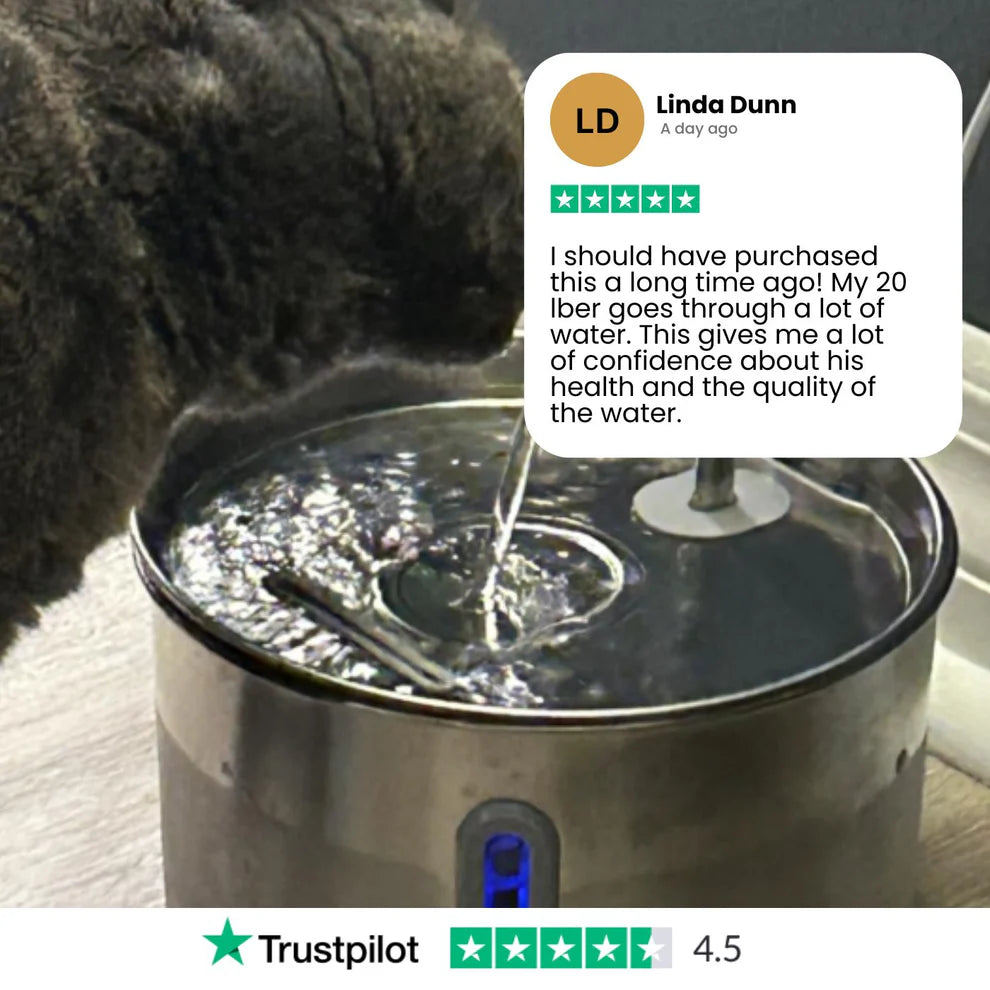 Protect your cat from dehydration and urinary emergencies with Purrify