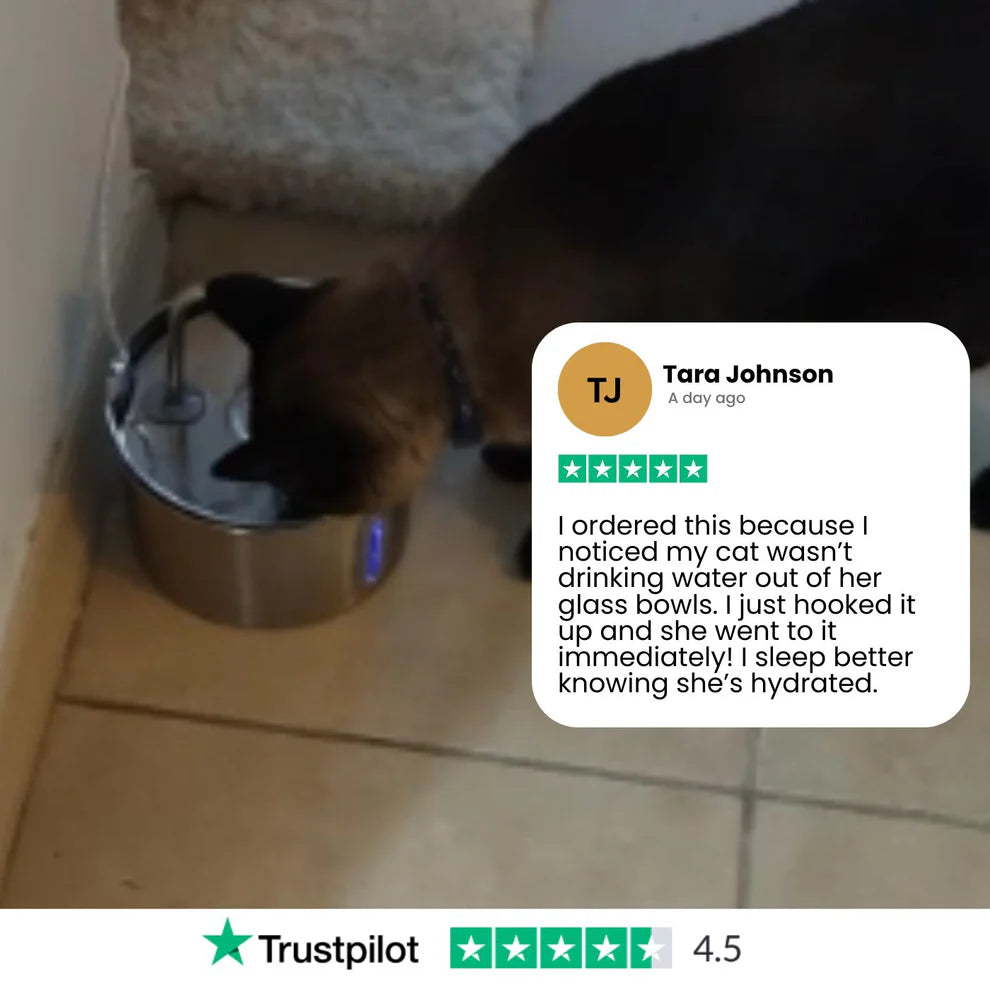 Protect your cat from dehydration and urinary emergencies with Purrify