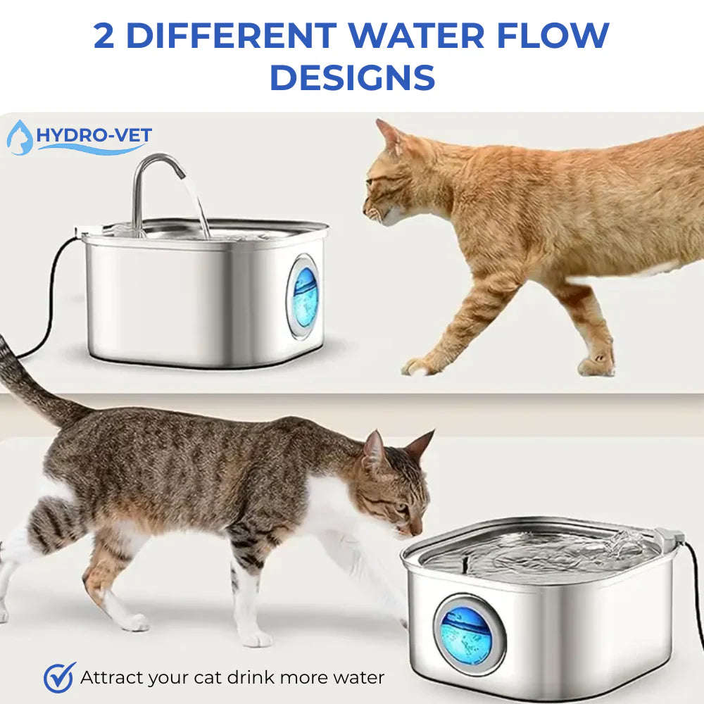 Give Your Cat Years More Healthy Life With HydroVet
