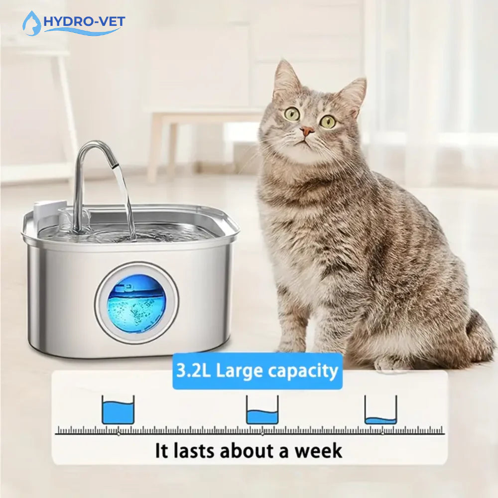 Give Your Cat Years More Healthy Life With HydroVet