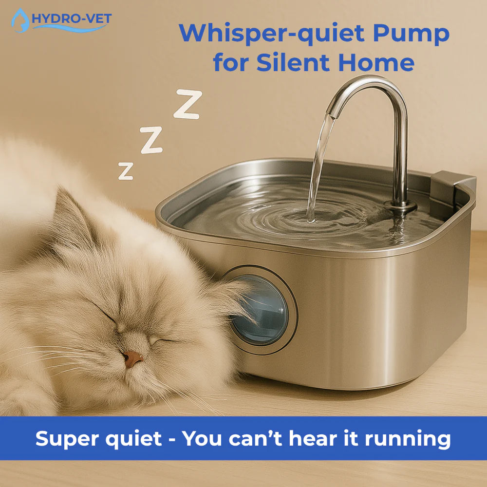 Give Your Cat Years More Healthy Life With HydroVet