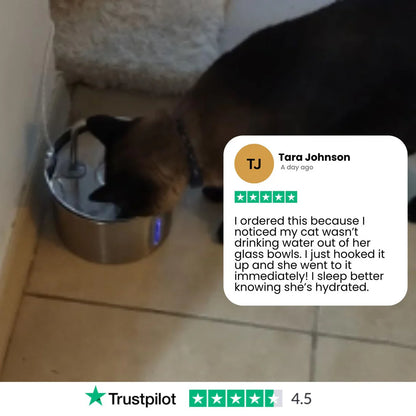 Protect your cat from dehydration and urinary emergencies with Purrify