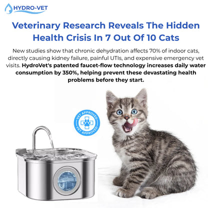 Give Your Cat Years More Healthy Life With HydroVet