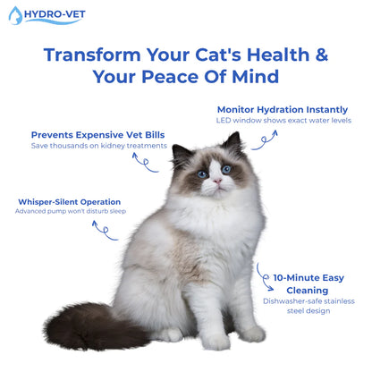Give Your Cat Years More Healthy Life With HydroVet