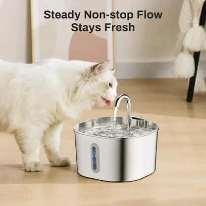 Protect your cat from dehydration and urinary emergencies with Purrify