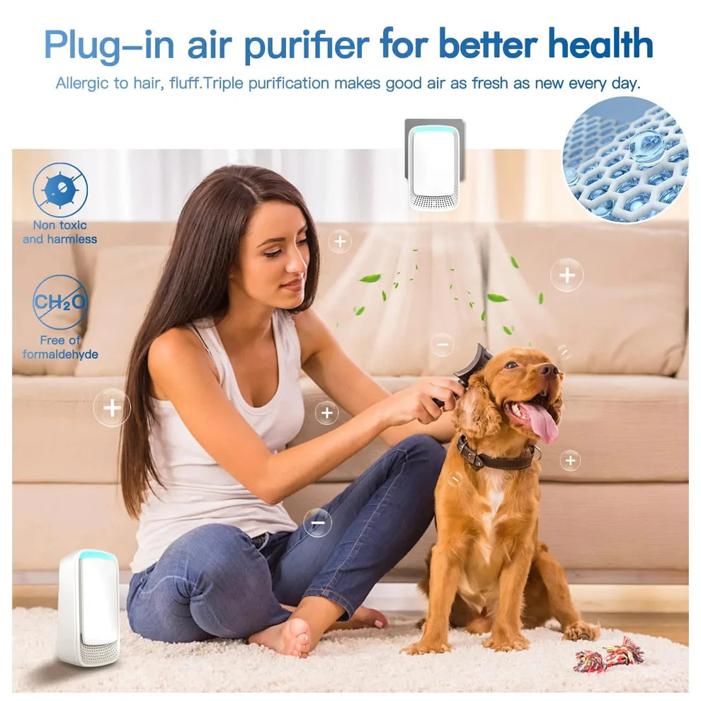 Eliminate Cat Hair Dander & Allergens That Trigger Painful Allergies in Just 30 Minutes